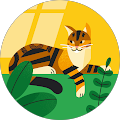 user_profile