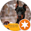 user_profile