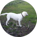user_profile