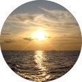user_profile