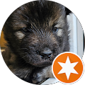 user_profile