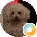 user_profile